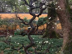-普陀山风景名胜区-法雨禅寺