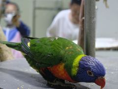 -上海大自然野生昆虫馆(东方明珠·爬宠昆虫探索中心)
