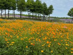 -东滩湿地公园观海楼餐厅