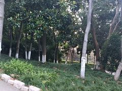 -九华山公园