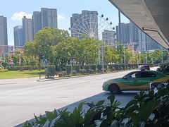 -八大山人梅湖景区