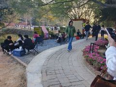 -南国桃园旅游度假区