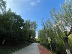 -南翠屏公园