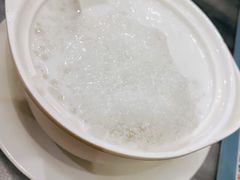 椰汁西米露雪燕-黄师奶甜品店