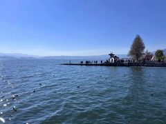 -大理洱海