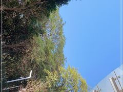 -UP健身私教馆(海岸城店)
