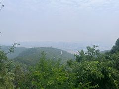 -府君山公园