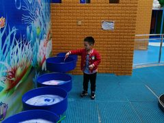-中国宋庆龄青少年科技文化交流中心