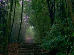 -莫干山风景区