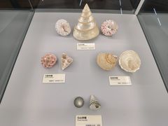 -天津古林古海岸遗迹博物馆