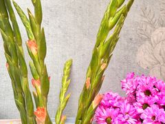 -循礼门鲜花花市(武汉循礼门店)