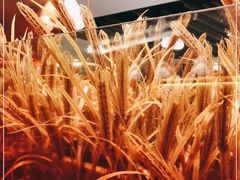 -稻香迎囍皇宫(港惠店)