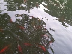 -汇龙潭
