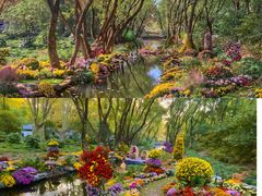 -上海共青森林公园