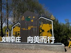-辛庄国际文化艺术区