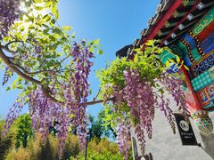 -红螺寺
