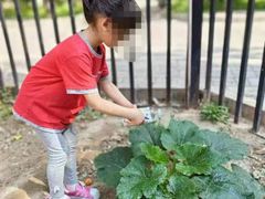 -井德幼儿园(韦伯豪园)