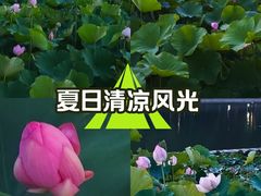 -裕华世纪公园
