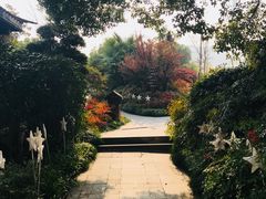 -杭州第一世界大酒店·云曼温泉