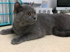 -莘程宠物医院(金山店)
