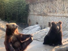 -云南野生动物园