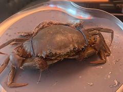 -Ministry of Crab•MOC(交子大道店)