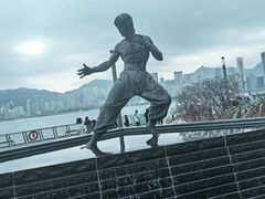 -星光大道