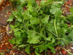 -简阳董家埂羊肉汤