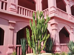-漳州滨海火山岛自然生态风景区