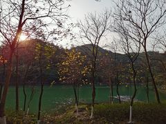 -广州白江湖森林公园