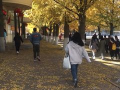 -辽东学院(南校区)