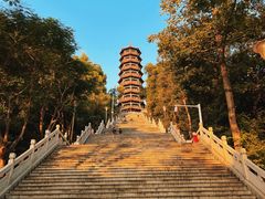 -红花山公园