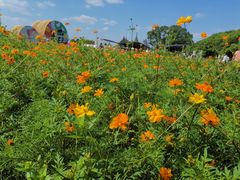 -嘉北郊野公园北游客中心-地上停车场