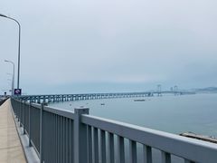 -星海湾跨海大桥