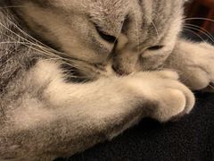 -佳雯宠物医院(金华南路分院)