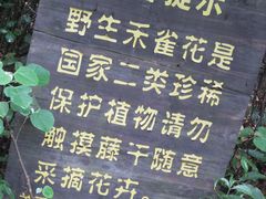 -牛鱼嘴原始生态风景区