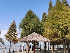 -捞渔河湿地公园