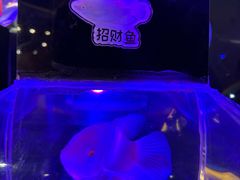 -海合安青岛极地海洋公园