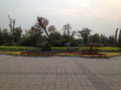 -济南国际园博园