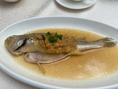 -潮皇食府(北京店)