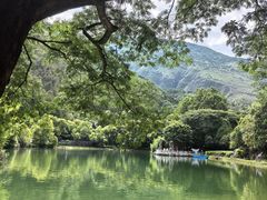 -蝴蝶泉公园
