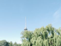 -中央广播电视塔