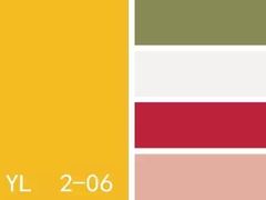 -正新鸡排(金进店)