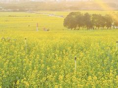 -光明小镇欢乐田园