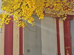 -旅顺博物馆