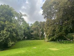 -墨尔本皇家植物园