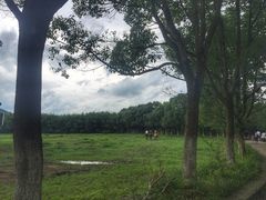 -杭州双溪漂流景区