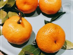 -馋嘴猫北京食堂·烤鸭·宵夜(亚运村店)