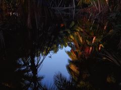 -东郊椰林