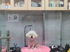 -宠福鑫康馨动物医院·骨科·眼科